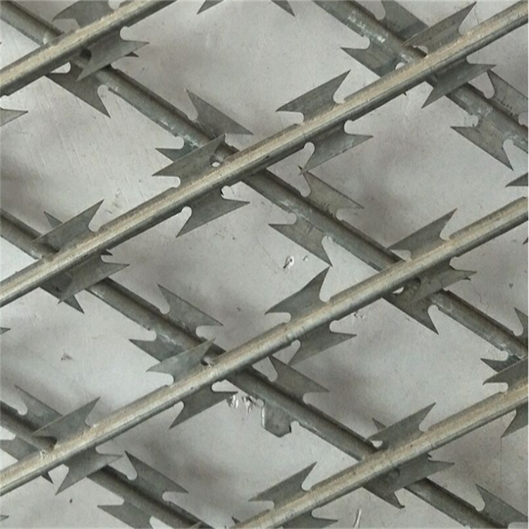 圍墻刺鐵絲網 圍墻刺鐵絲網