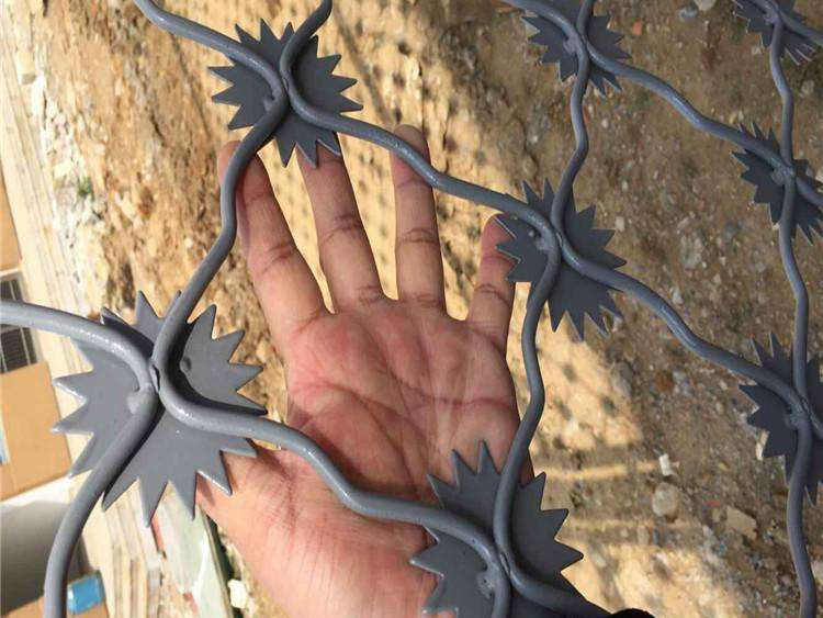 監(jiān)獄梅花刺隔離網(wǎng)