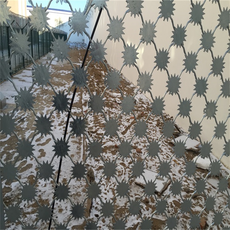 遼寧監獄梅花刺隔離網安裝完畢圖片2