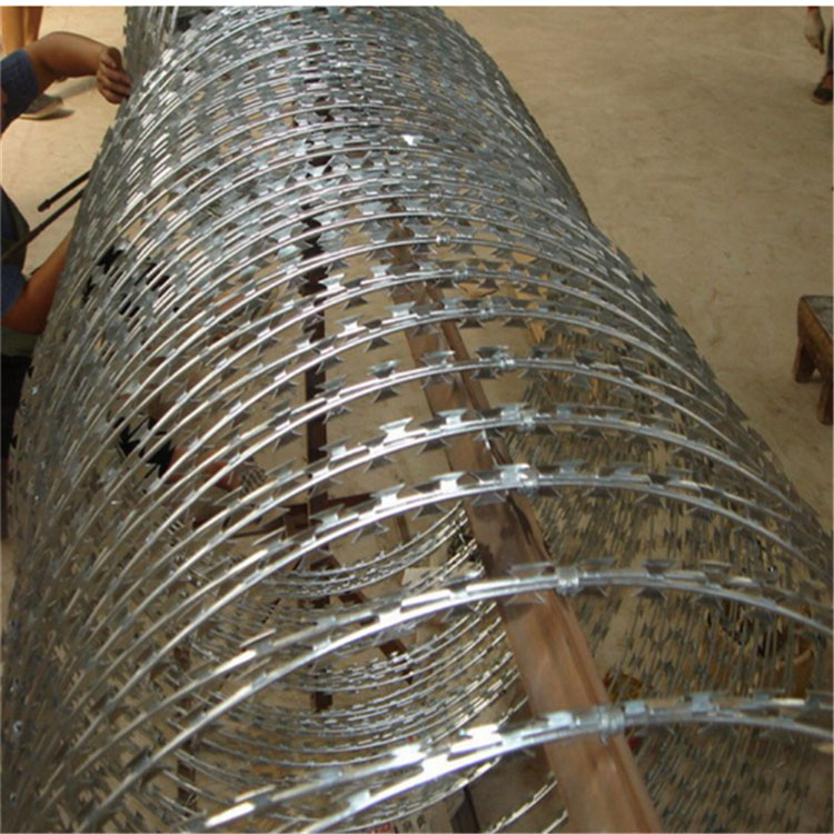 獄墻上鋼網墻刀刺網型號圖片4