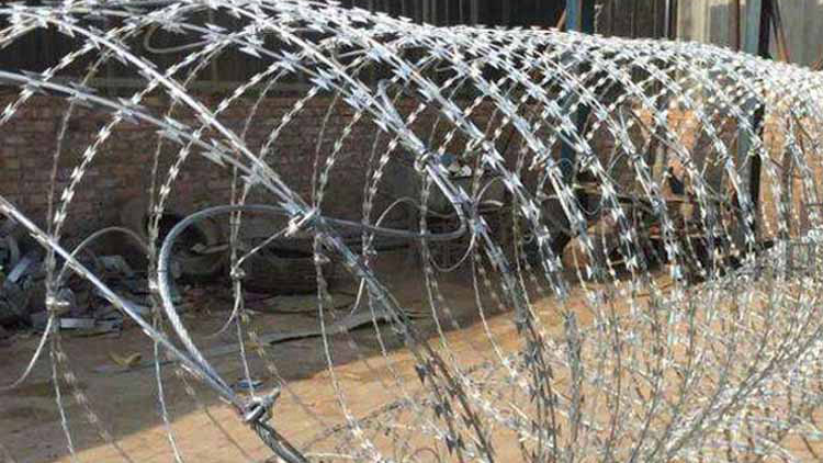 刀刺網(wǎng)18631858321 刀刺網(wǎng)18631858321