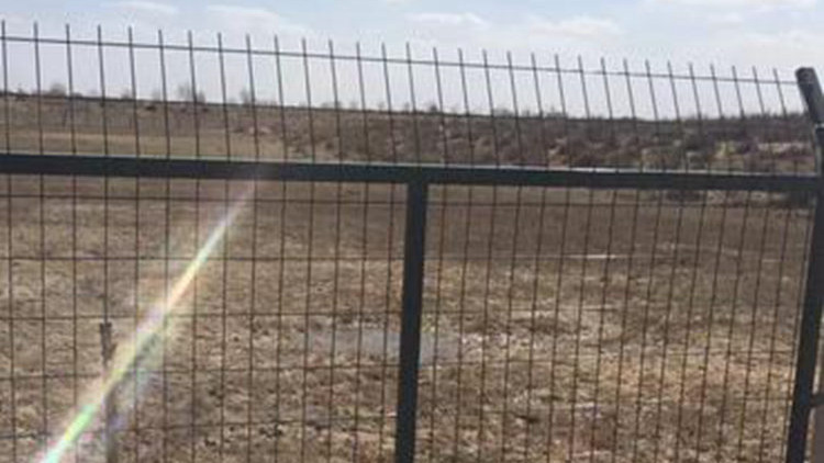 浸塑鐵路護欄網18631858321