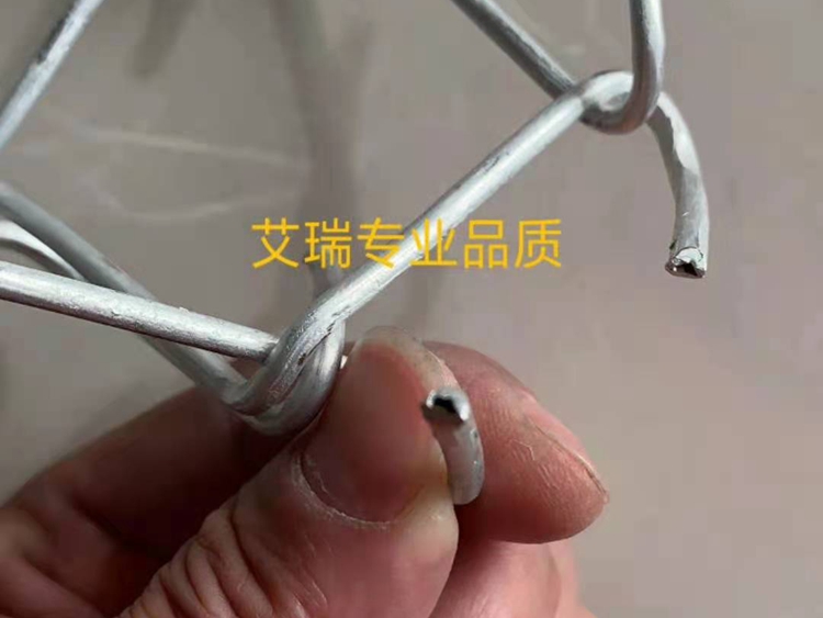 細節展示 細節展示