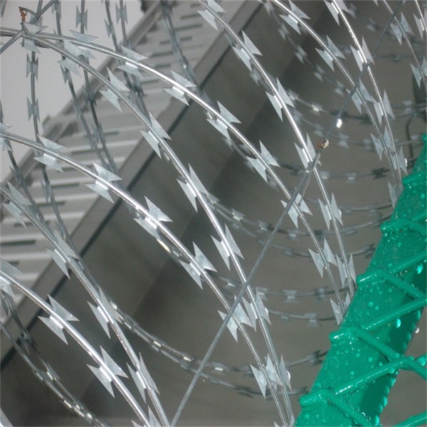 監獄看守所蛇腹式刀刺網圖片2