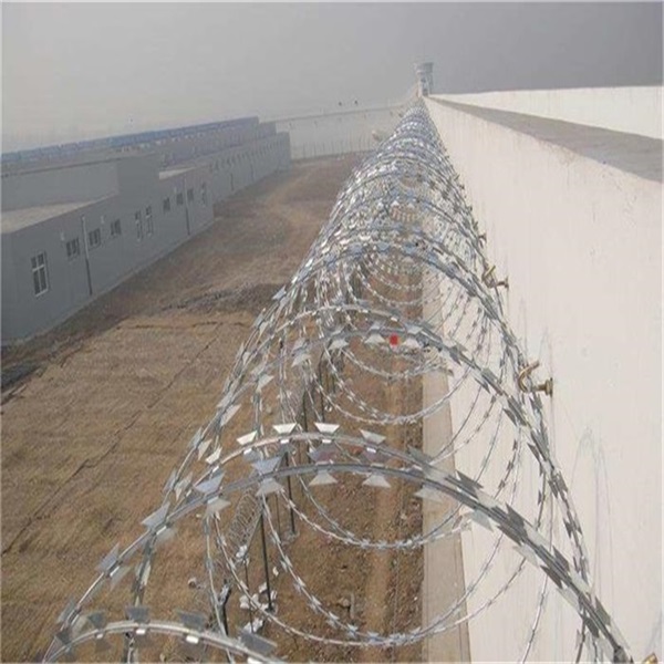 監獄看守所蛇腹式刀刺網圖片3