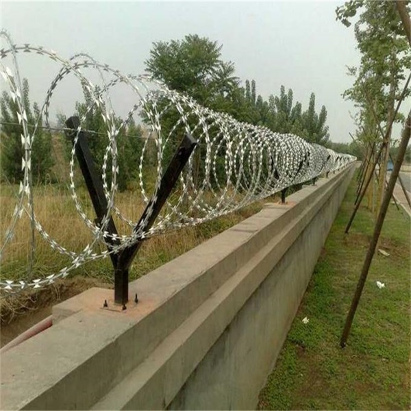 監獄看守所蛇腹式刀刺網圖片4