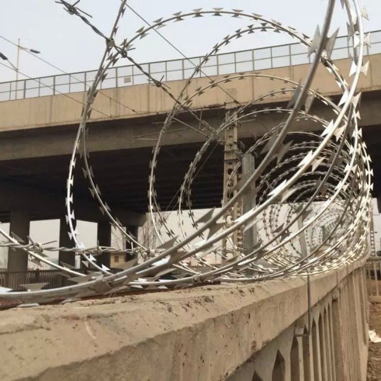 鐵路刺絲滾籠?圖片3 鐵路刺絲滾籠?圖片3