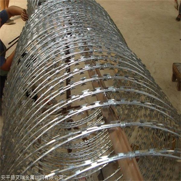 不銹鋼304蛇腹形刀刺網圖片3 不銹鋼304蛇腹形刀刺網圖片3