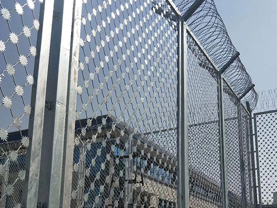 梅花刺隔離網刺片圖片3 梅花刺隔離網刺片圖片3